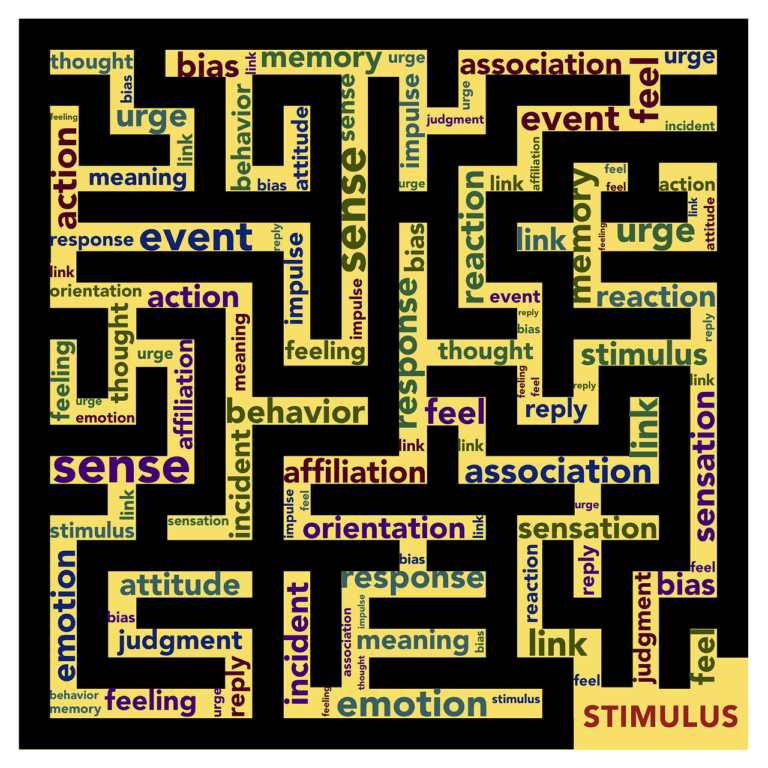 how cognitive and emotional biases affect investing